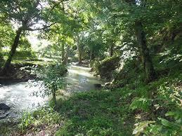 Río Sedeño