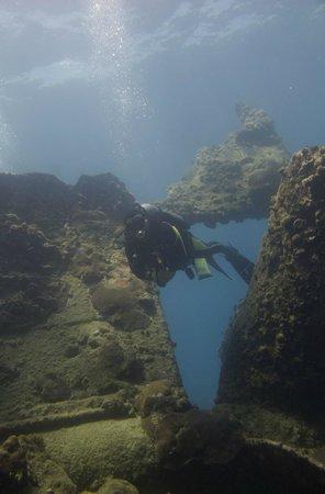 Puerto Lobos Dive Camp